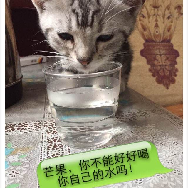 巴黎东大学位证